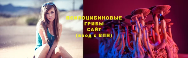 ALPHA-PVP Аркадак